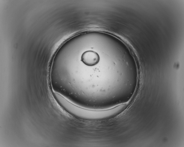 X0000115021333200911091434