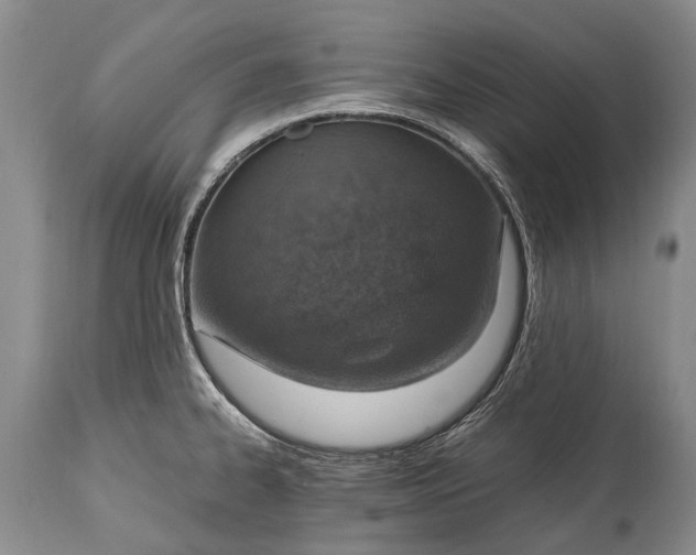 X0000115021334200911091434