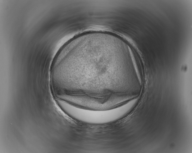 X0000115021335200911091434