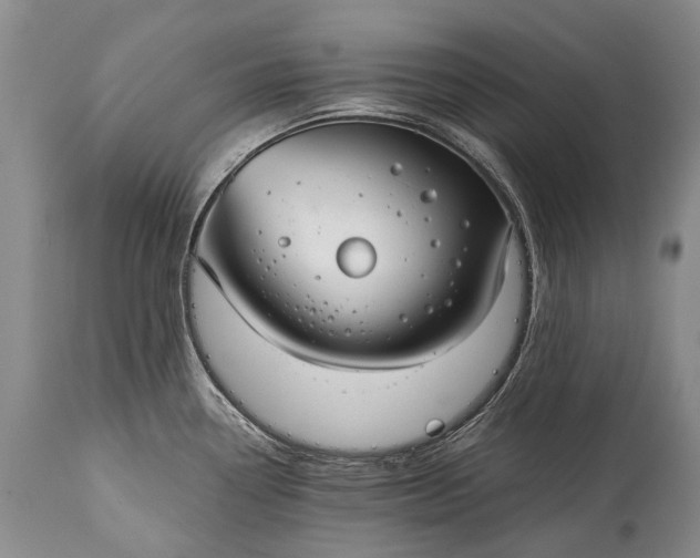 X0000115021338200911091434