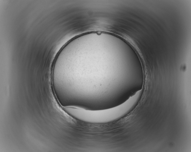 X0000115021339200911091434