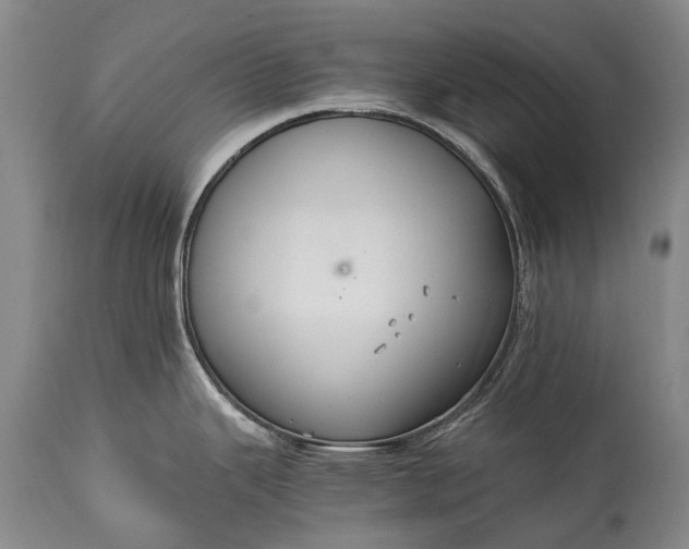 X0000115021343200911091434
