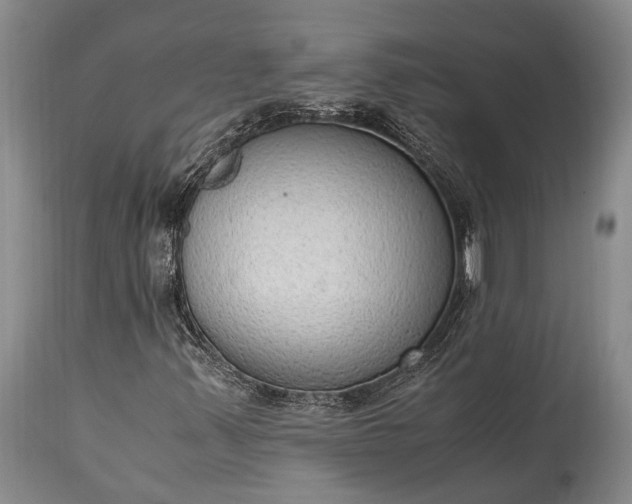 X0000115021347200911091433