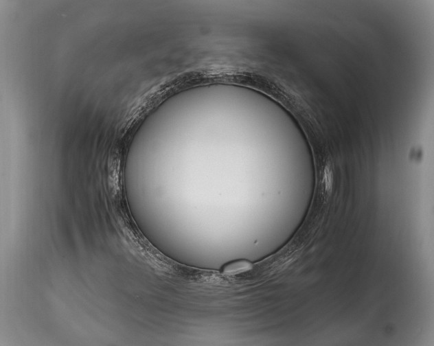 X0000115021348200911091433