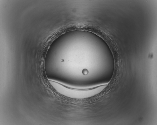 X0000115021349200911091433