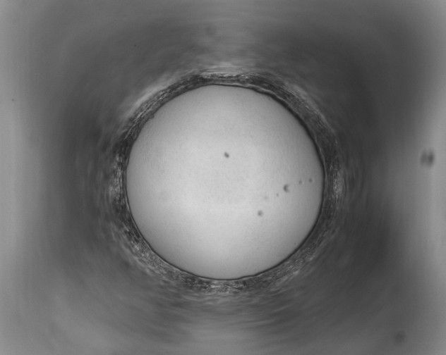 X0000115021350200911091433