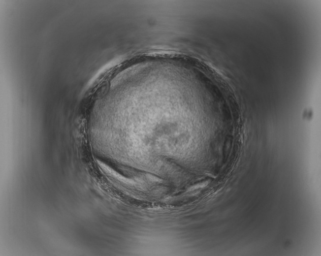 X0000115021351200911091433