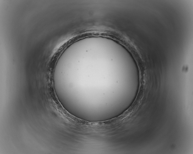 X0000115021352200911091433