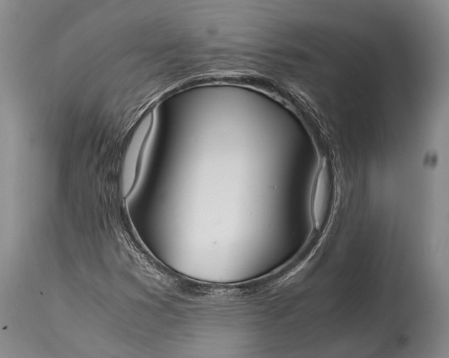 X0000115021353200911091433
