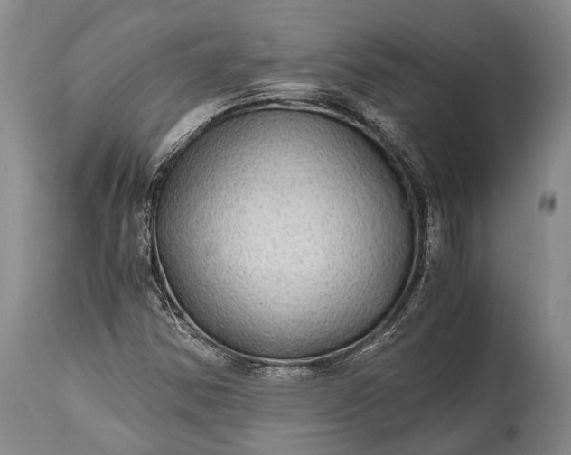 X0000115021354200911091433