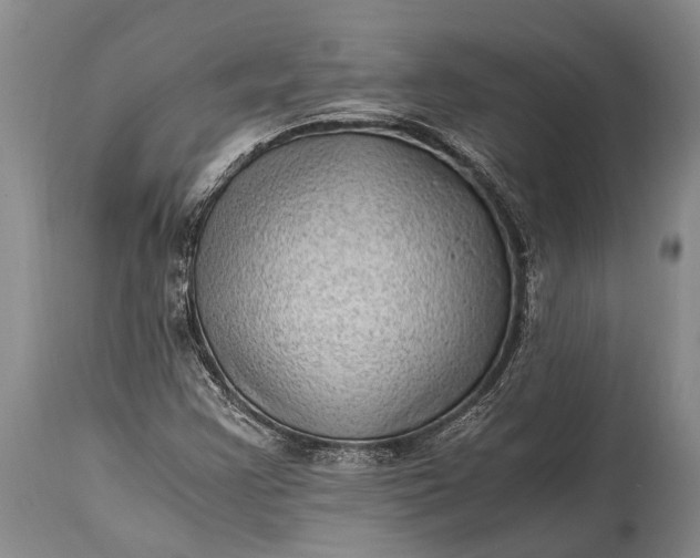 X0000115021355200911091433