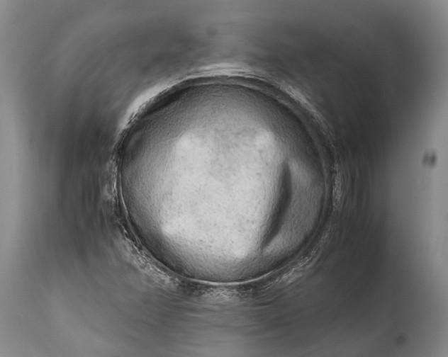X0000115021358200911091433