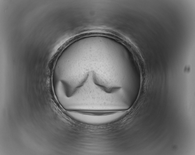 X0000115021360200911091433