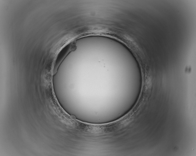 X0000115021361200911091433