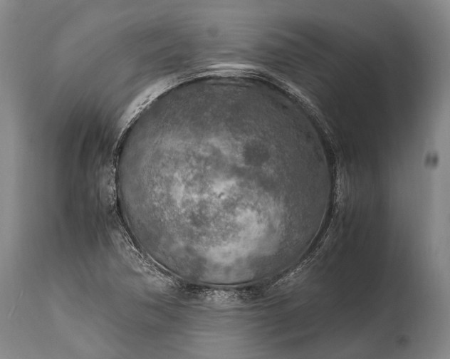 X0000115021362200911091433