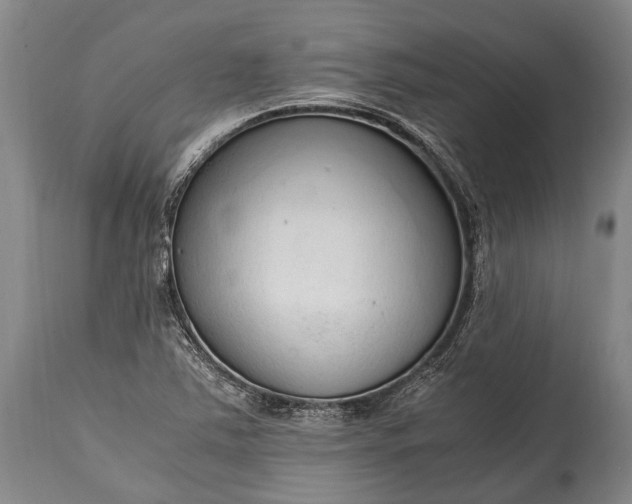 X0000115021363200911091433