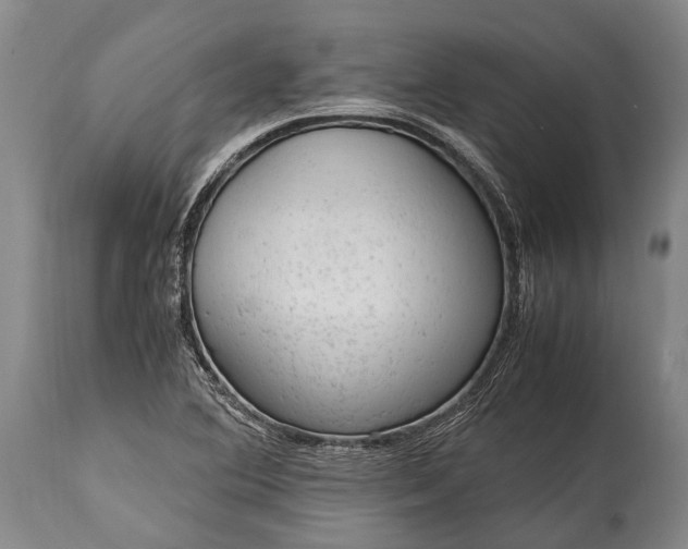 X0000115021364200911091433