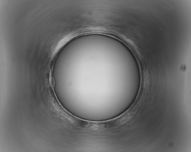 X0000115021365200911091433
