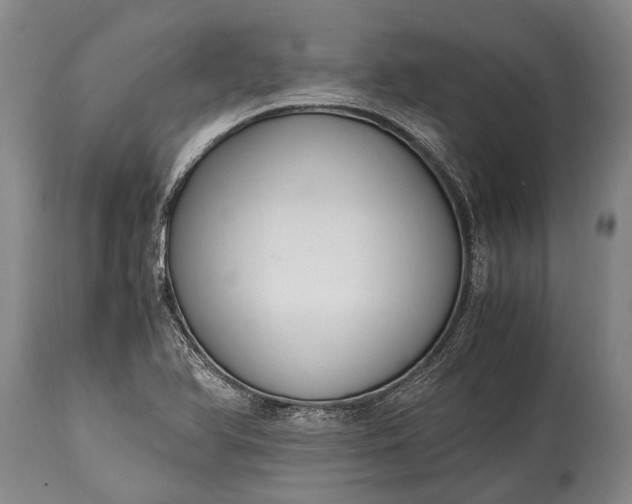 X0000115021366200911091433
