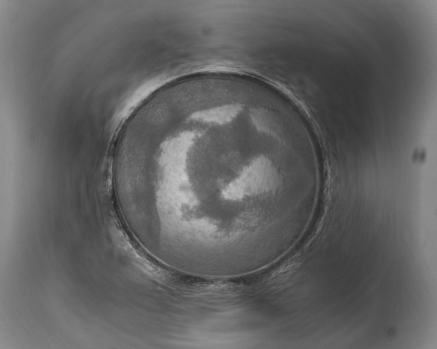 X0000115021367200911091433