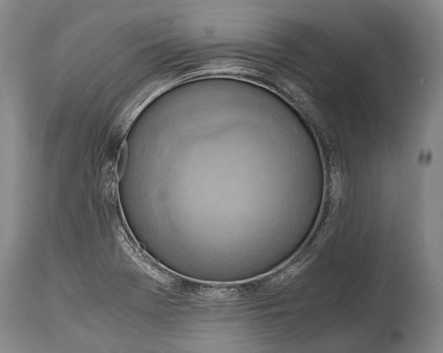 X0000115021369200911091433