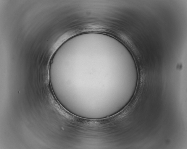 X0000115021370200911091433