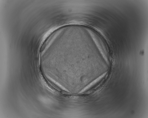 X0000115021371200911091433
