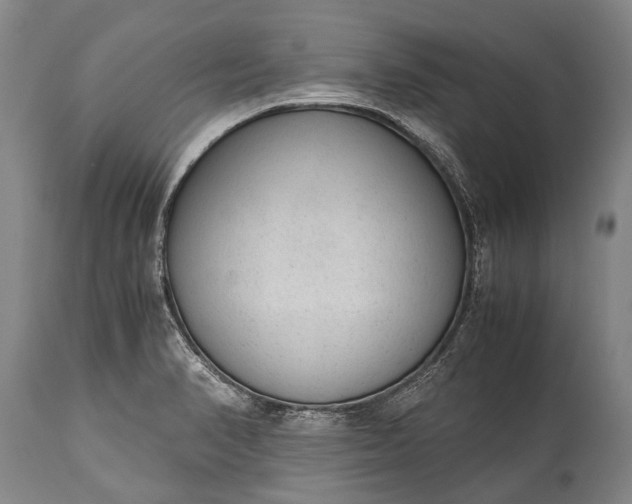 X0000115021374200911091433