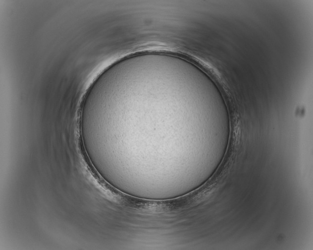 X0000115021375200911091433