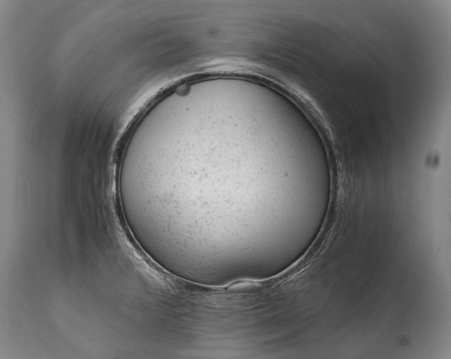 X0000115021376200911091433