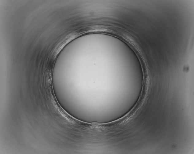 X0000115021377200911091433
