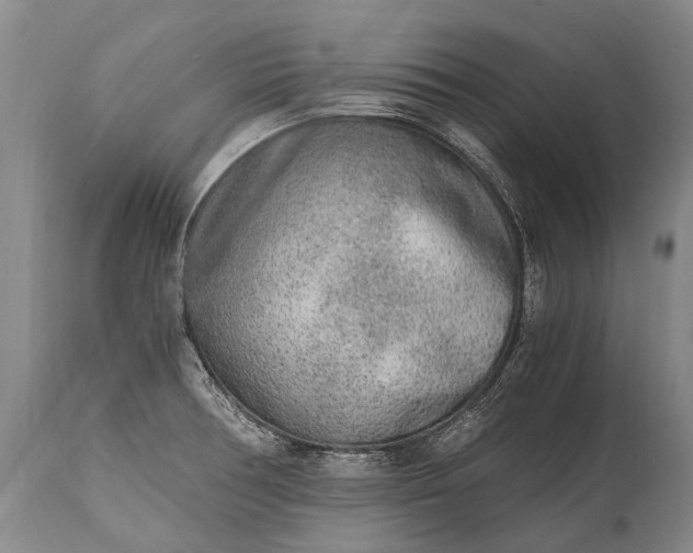 X0000115021378200911091433