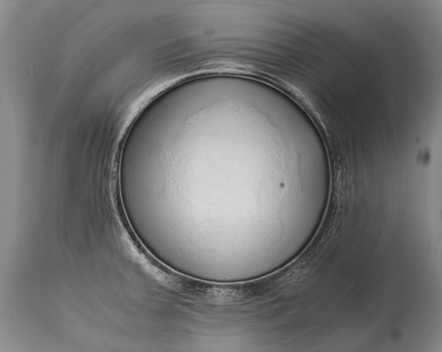 X0000115021379200911091433