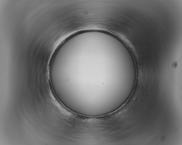 X0000115021380200911091433