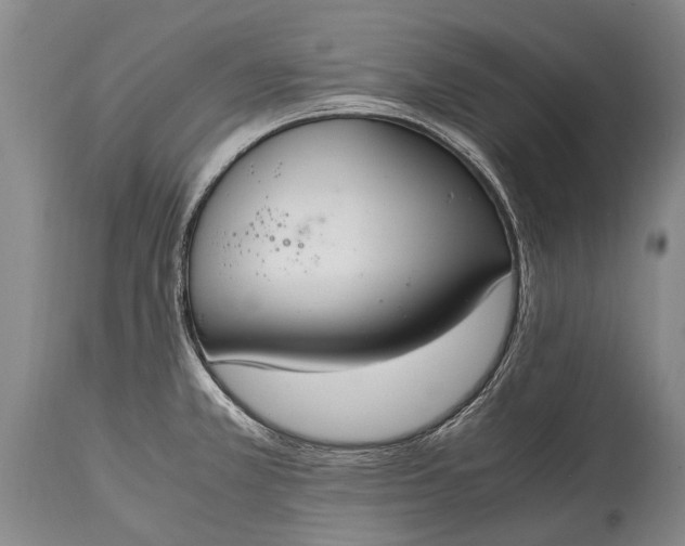 X0000115021381200911091433