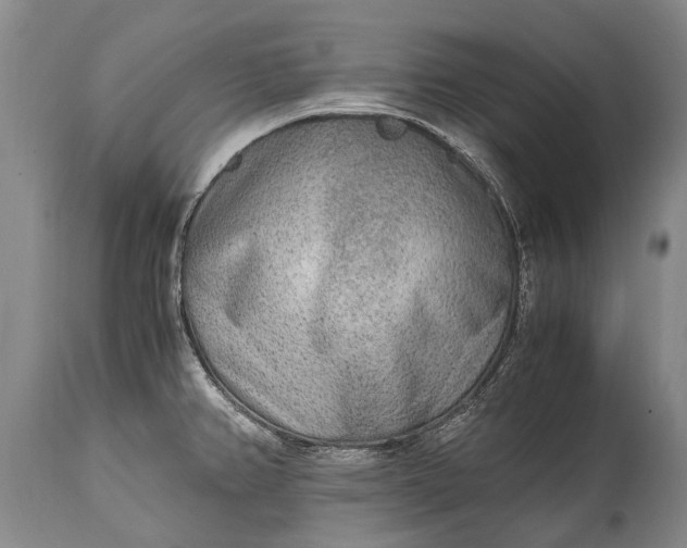 X0000115021382200911091433