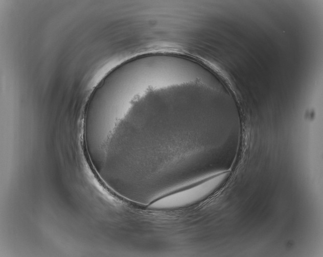 X0000115021383200911091433