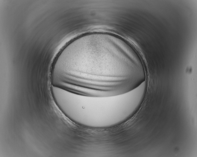 X0000115021384200911091433