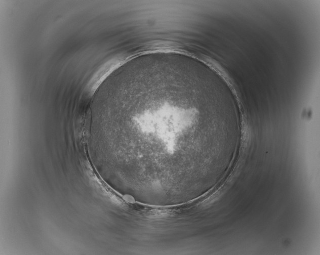 X0000115021385200911091433