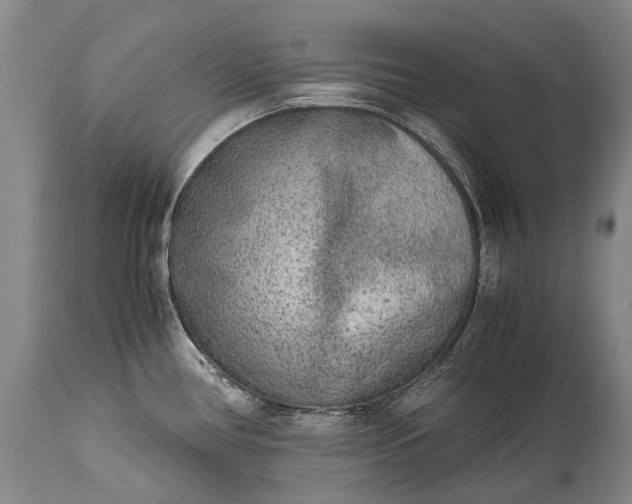 X0000115021386200911091433