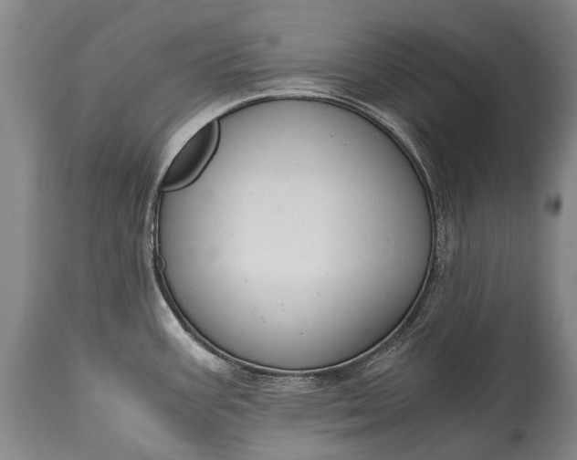 X0000115021387200911091433