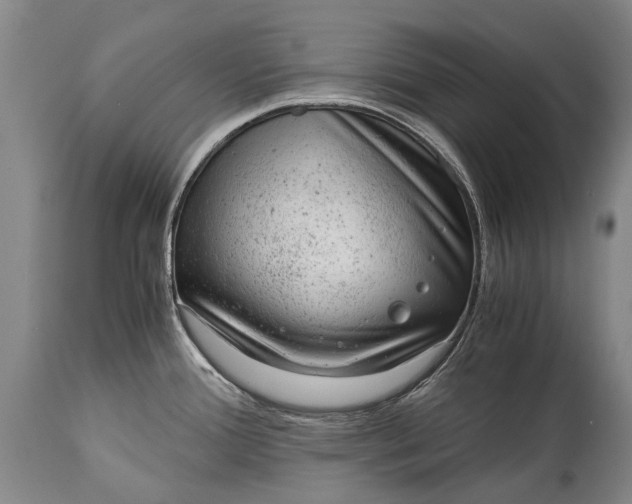 X0000115021388200911091433