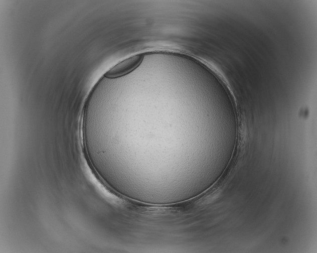 X0000115021391200911091433