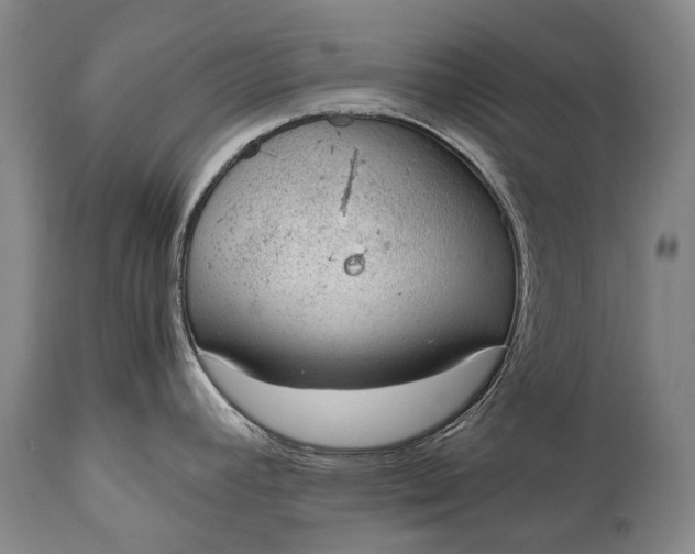 X0000115021392200911091433