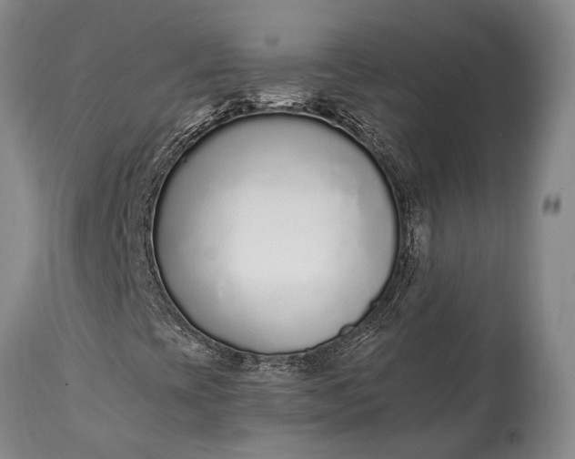 X0000115021393200911091432