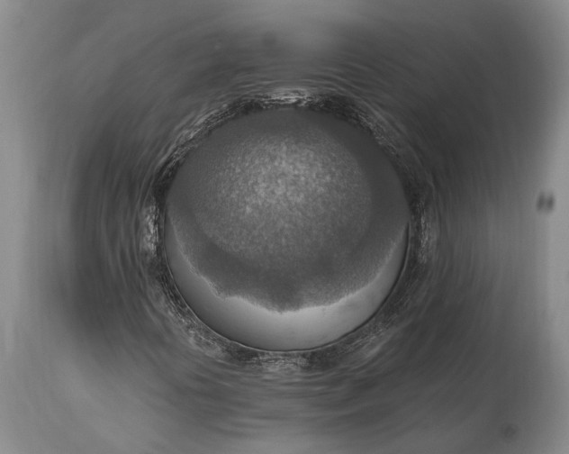 X0000115021394200911091432
