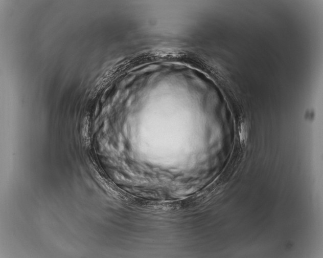 X0000115021396200911091432