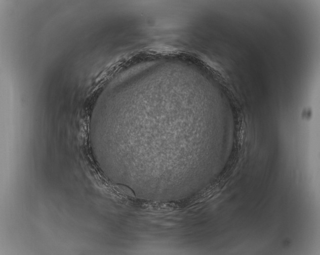 X0000115021397200911091432