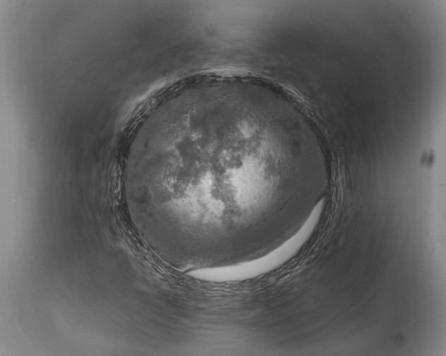 X0000115021398200911091432