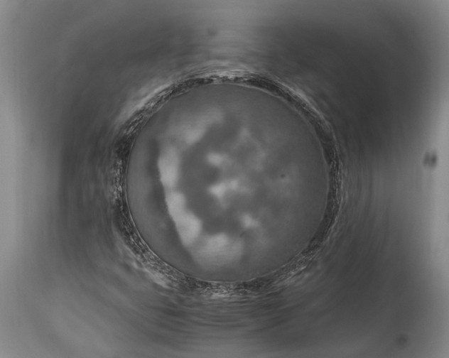 X0000115021399200911091432